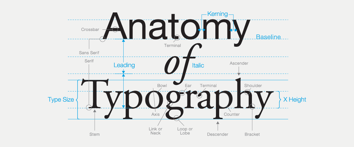 Анатомия шрифта. Кернинг шрифта это. Типографика шрифты. Sans Serif шрифт.